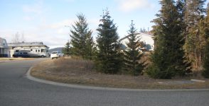 243 Aralia Drive IMG_2088